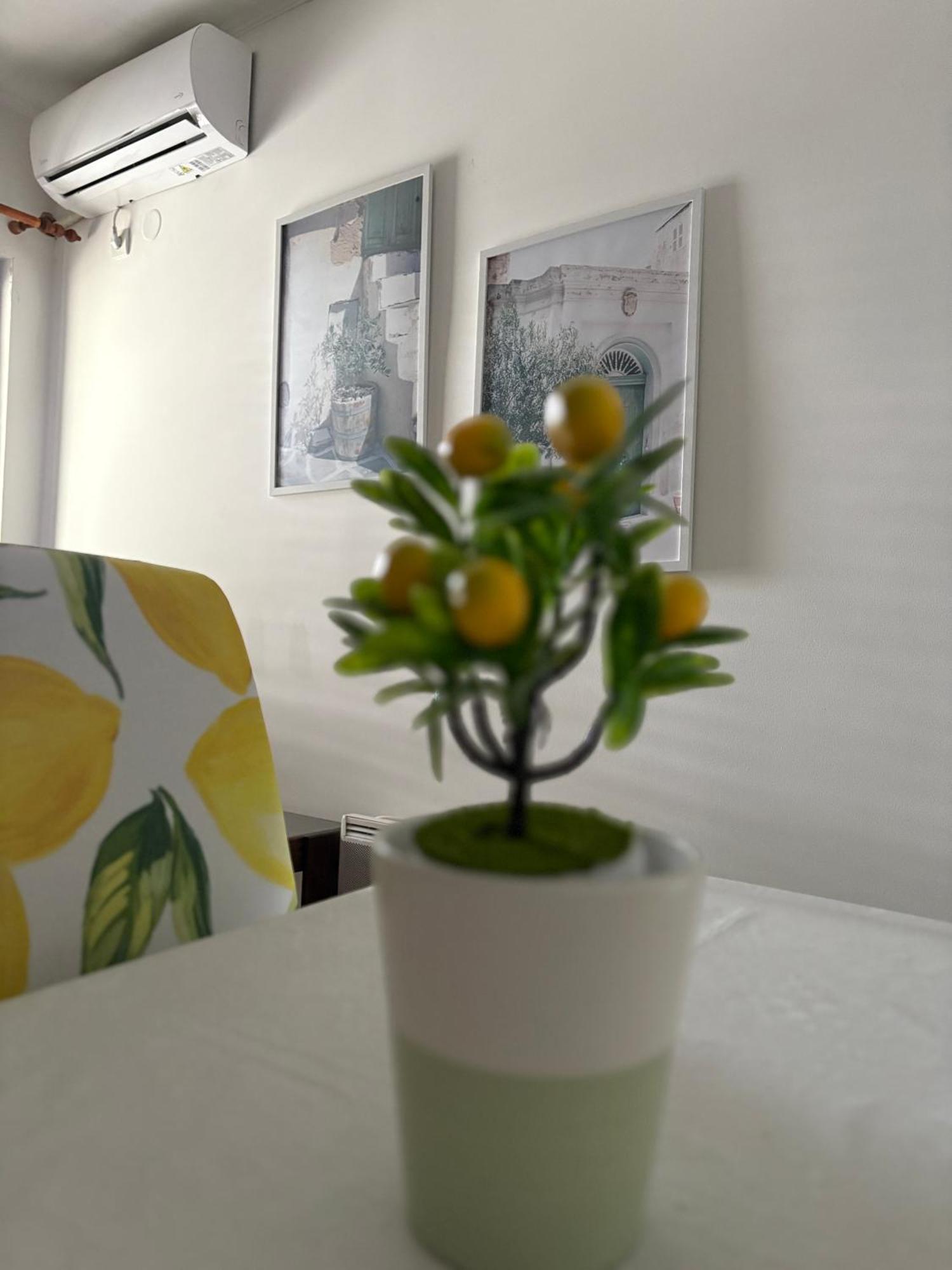 Apartments Herceg Novi Chambre photo