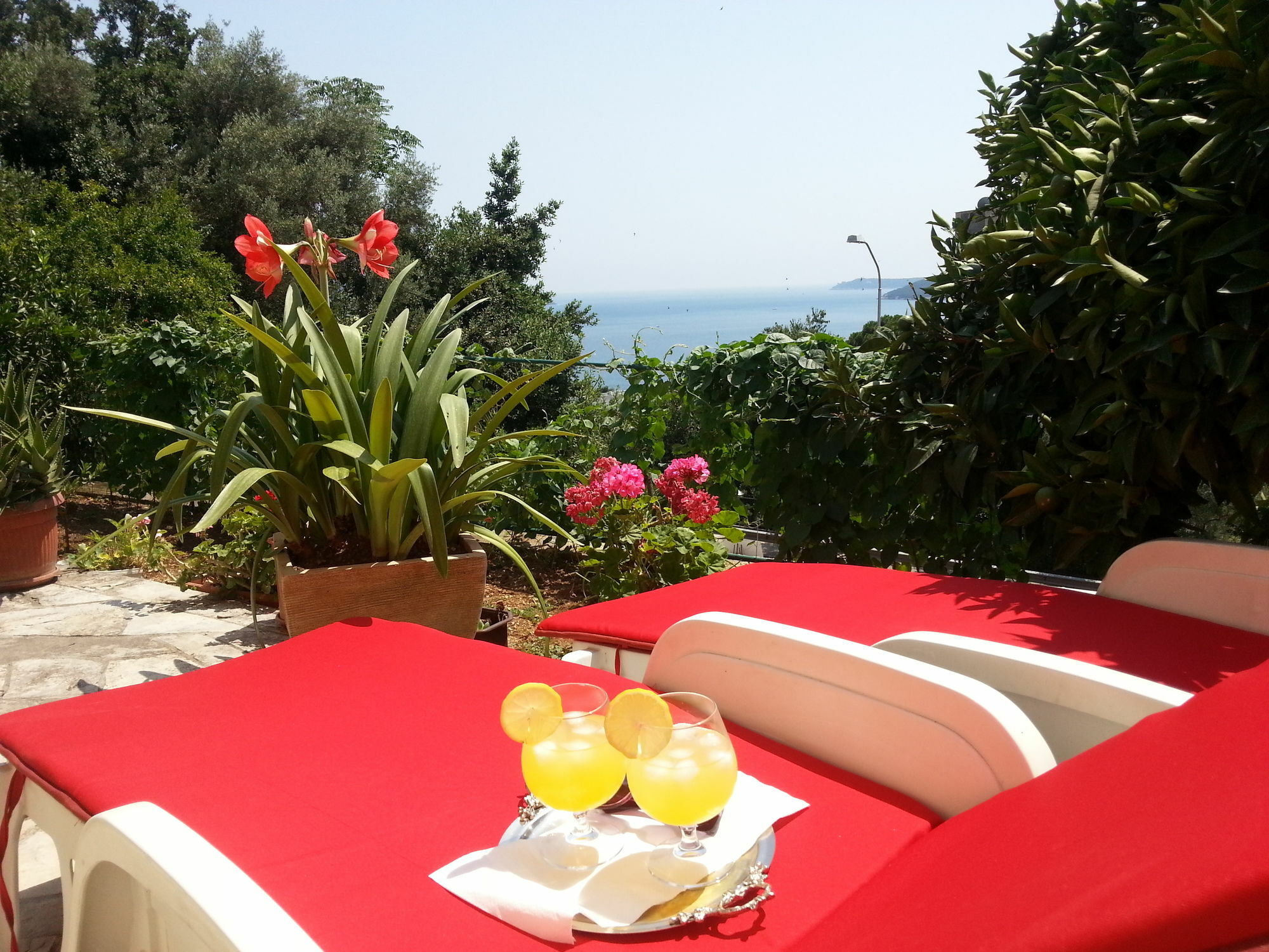 Apartments Herceg Novi Extérieur photo